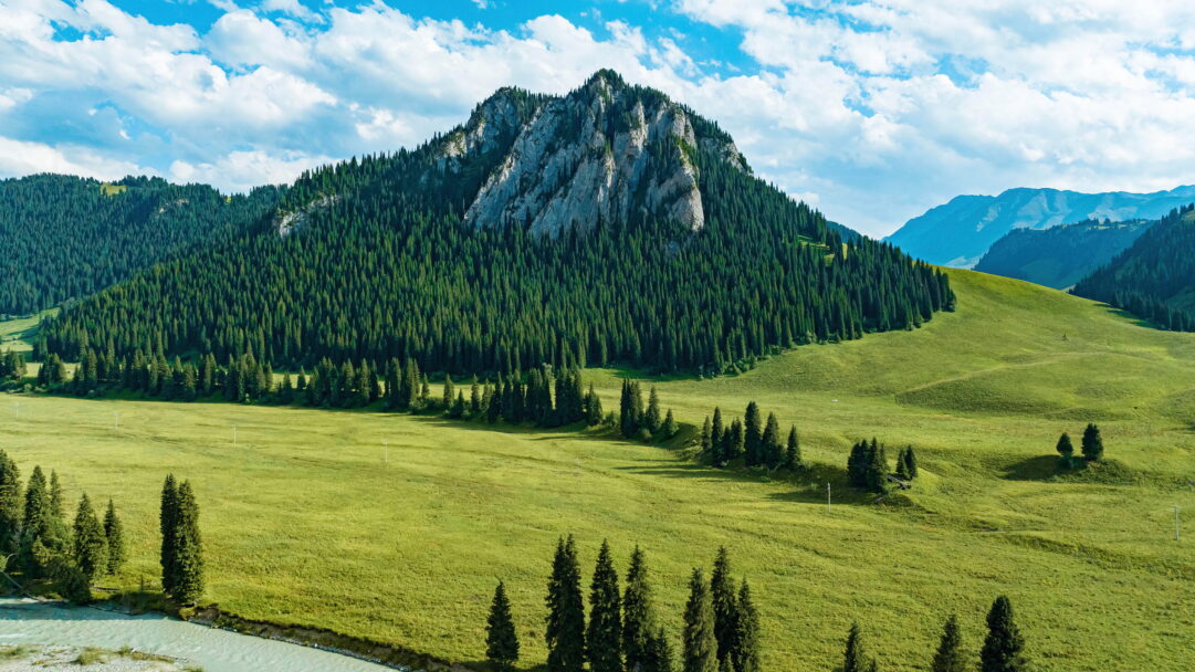 A stunning view of a forest nestled in the mountains with green trees and foliage in vibrant shades of emerald, with a flowing stream and rocky terrain in the foreground.