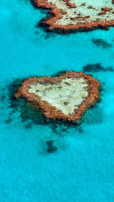 Dive into the romantic beauty of Heart Reef in the Great Barrier Reef, Australia, with this mesmerizing 4K wallpaper. Witness the intricate coral formation that resembles a heart, showcasing the stunning marine life beneath the ocean's surface. Perfect for travelers and those seeking a captivating underwater desktop background.