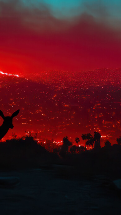 A stunning 4K wallpaper featuring the silhouette of a deer against a fiery Los Angeles landscape at sunset. The warm hues of the sky contrast beautifully with the dark silhouette, creating a dramatic and captivating scene that’s perfect for your desktop or mobile wallpaper.